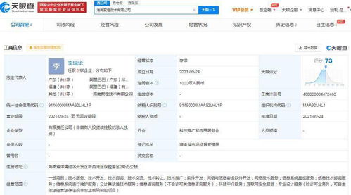 阿里加码布局海南 新设公司聚焦网络安全与数据开发